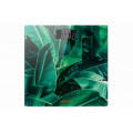 Tərəzi Ardesto SCB-965LEAVES