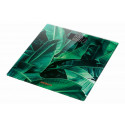 Tərəzi Ardesto SCB-965LEAVES